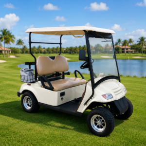 2016 Yamaha Range Picker Electric Golf Cart for Sale