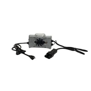 Charger 48V Yamaha 2-Pin