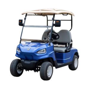 Exclusive Golf Cart Phoenix 2 Passenger Blue Color for Sale Florida
