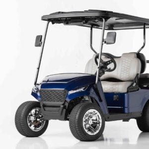 Madjax Blue Non-Lifted 4 Passenger Golf Car for Sale Florida