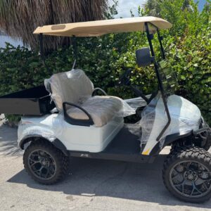 MADJAX Utility Golf Car Lithium or Acid Battery Model for Sale
