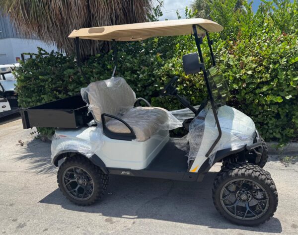 MADJAX Utility Golf Car Lithium or Acid Battery Model for Sale