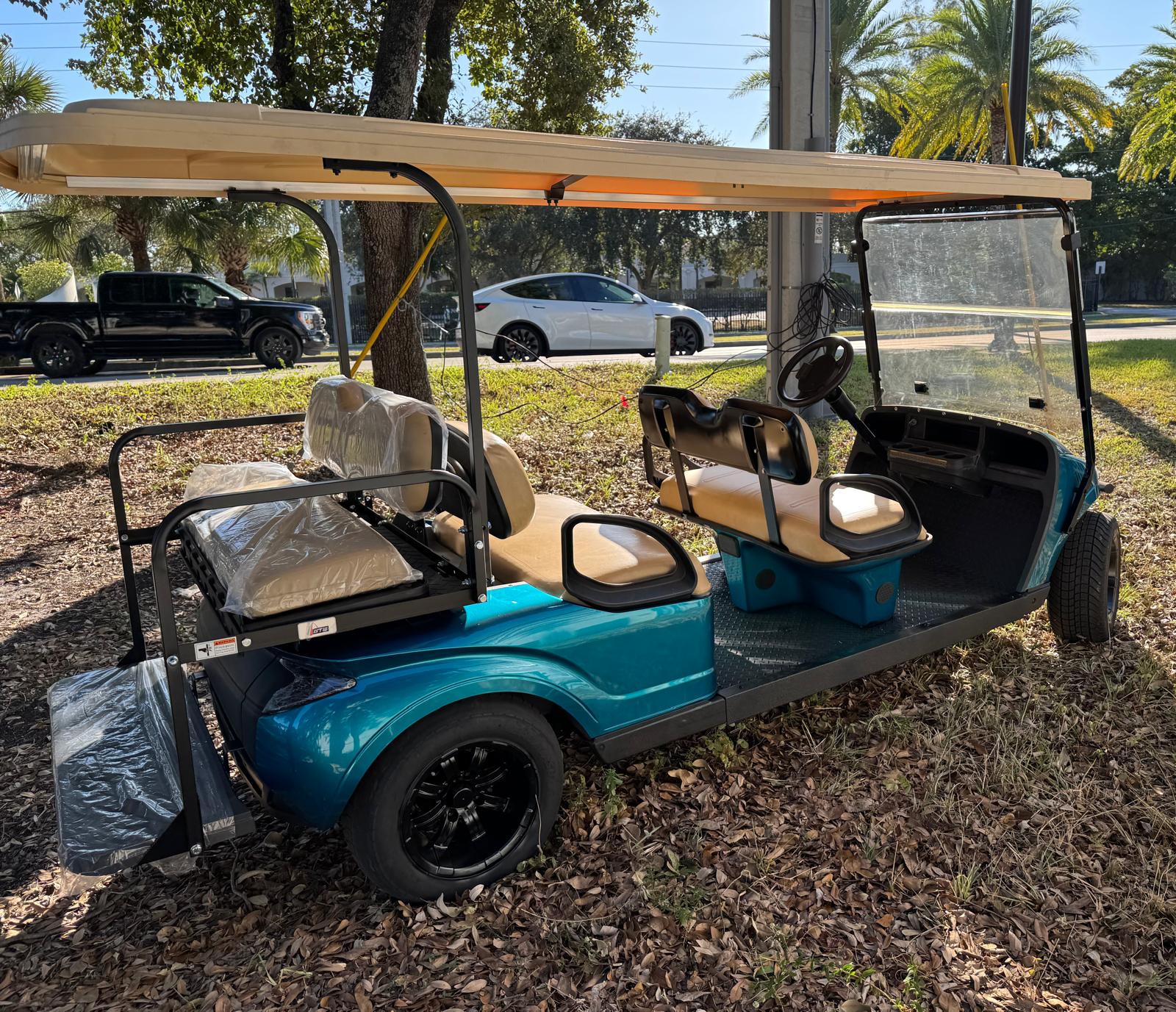 Teal Street-Legal Limo Golf Car | 6-Passenger Electric Rental in Florida - Image 2
