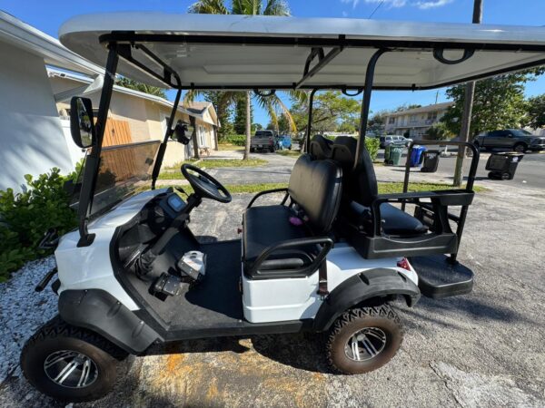Exclusive Phoenix Electric Golf Car 4 Passenger Rental Florida