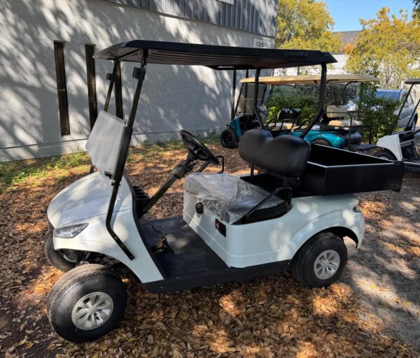 Exclusive Phoenix Electric Utility Golf Car for Sale Florida