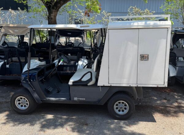 Electric Utility Golf Car Enclosed Cargo Model for Rental