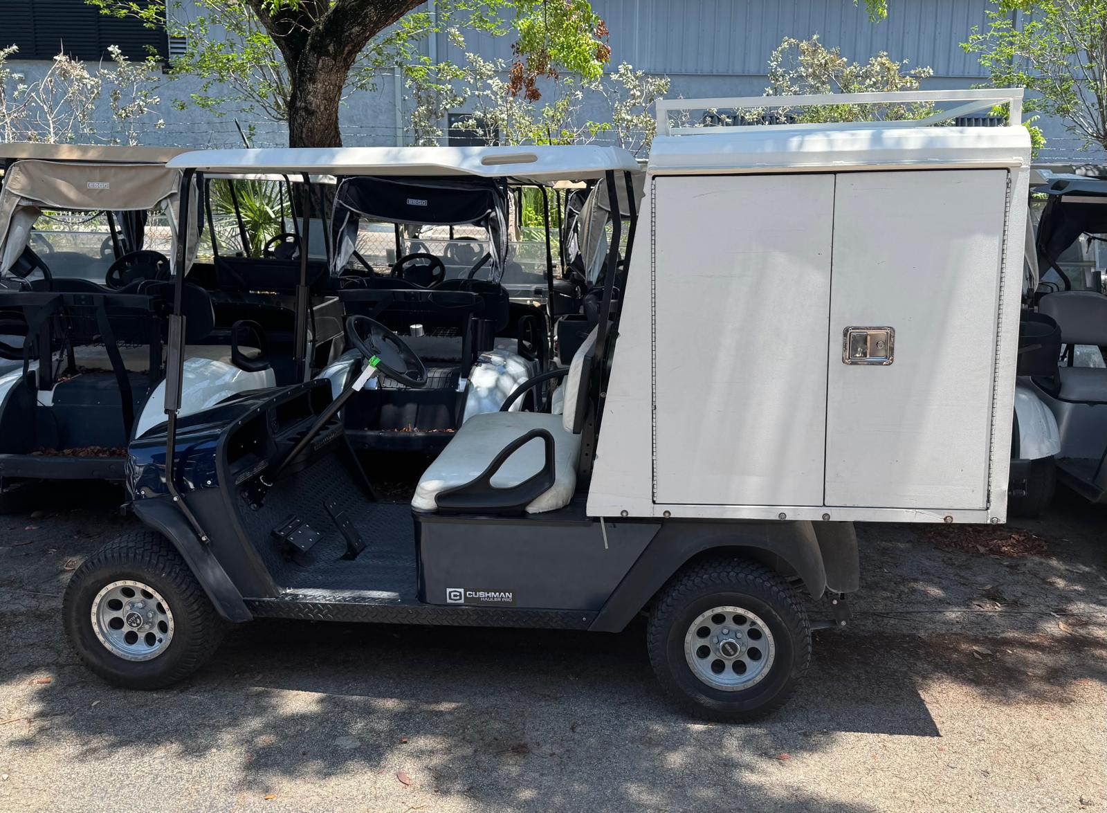 Electric Utility Golf Car Enclosed Cargo Model for Rental