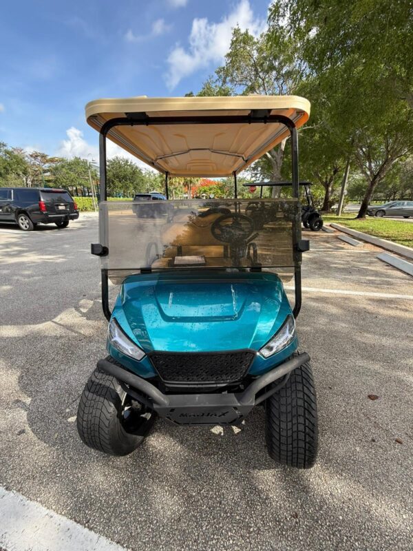 Exclusive Gasoline Limo Golf Car for Sale - Image 2