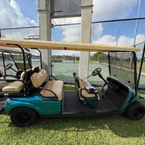 Exclusive Gasoline Limo Golf Car for Sale Florida
