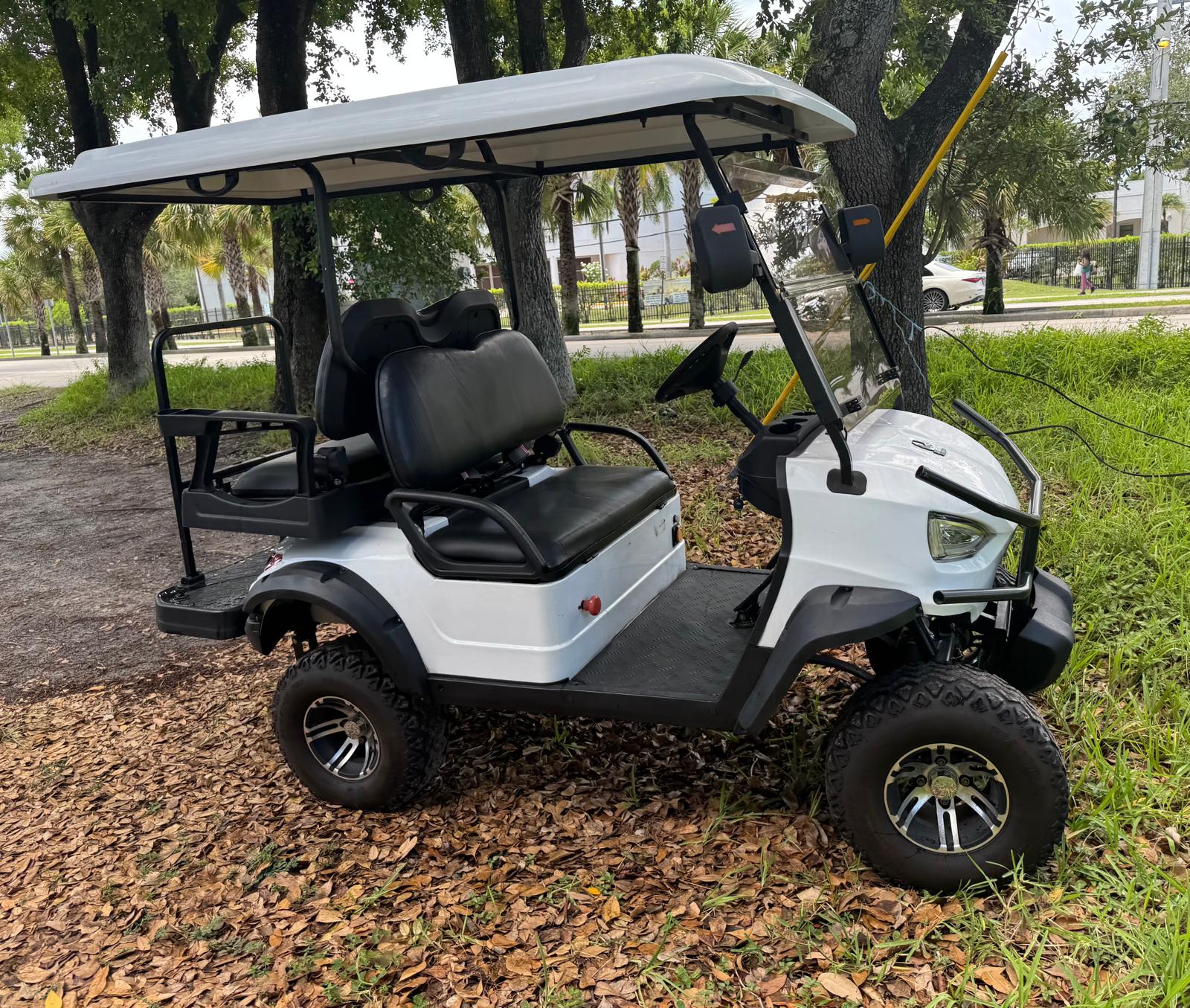 Exclusive Phoenix Electric Golf Car 4 Passenger Rental Florida