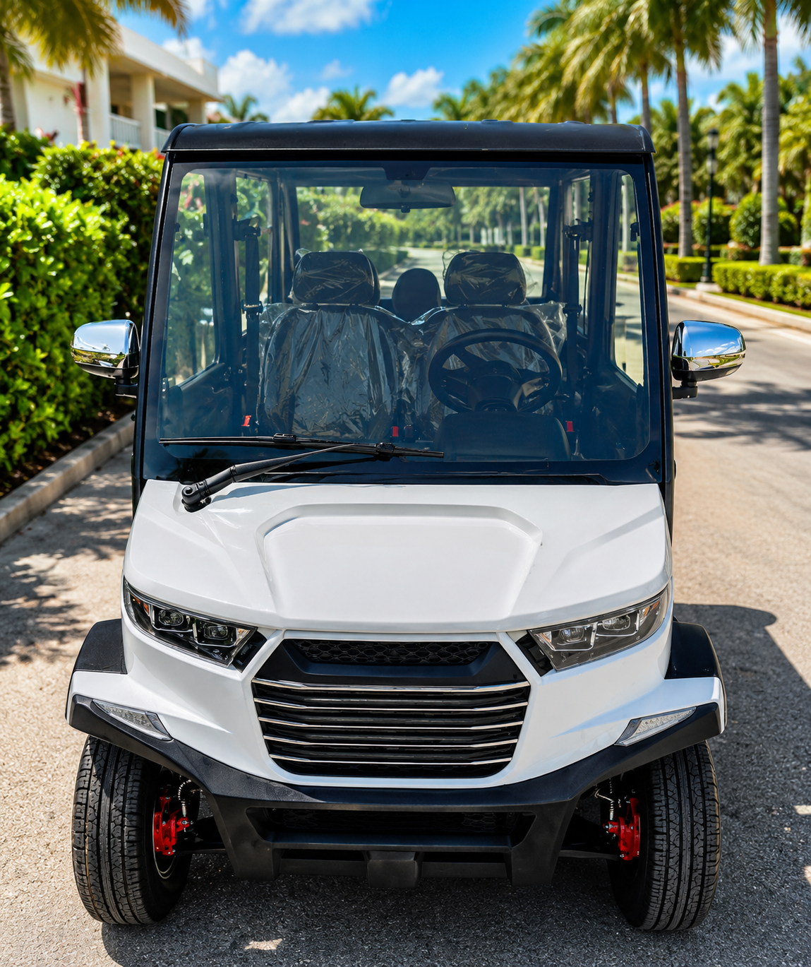 Commercial Passenger Golf Cart with Air Conditioning